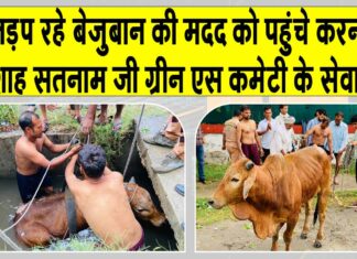 Karnal News