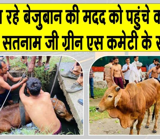 Karnal News
