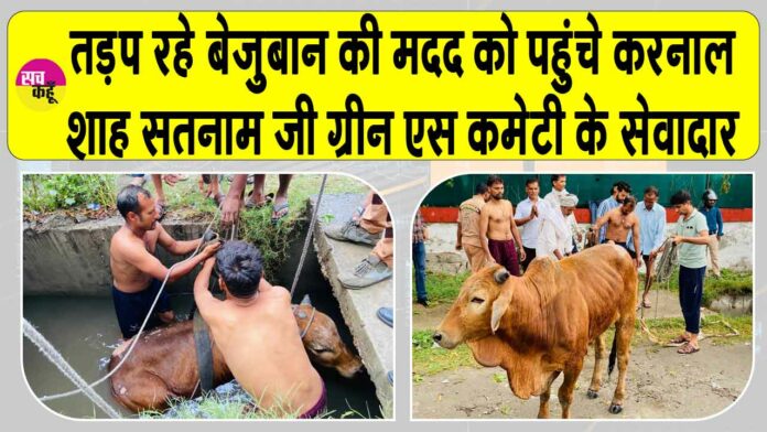Karnal News