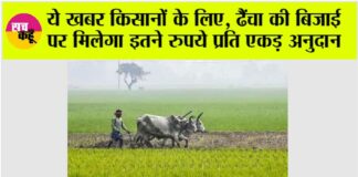 Kisan News