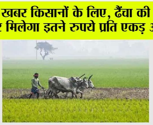 Kisan News