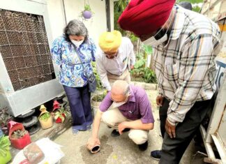 Ludhiana News