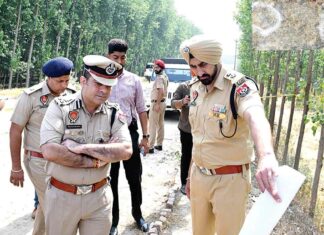 Ludhiana News