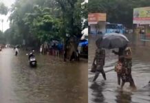 Maharashtra Rainfall