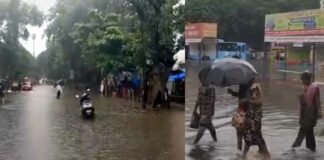Maharashtra Rainfall