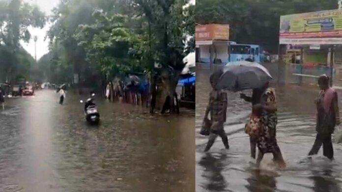 Maharashtra Rainfall