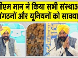 Punjab News