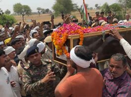 Haryana News