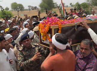 Haryana News