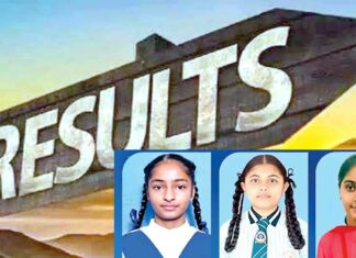 Punjab Board Result