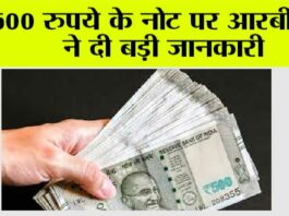 RBi News