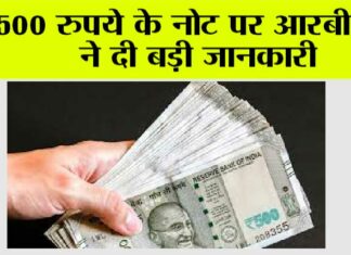 RBi News