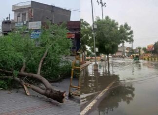 Rajasthan Weather News