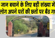 Ranthambore News