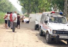 Rohtak News
