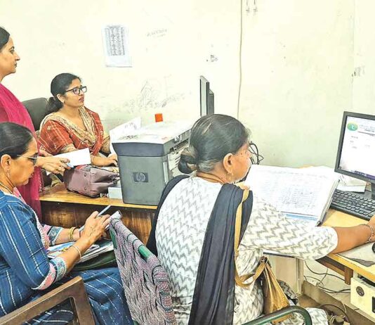HBSE Result 2025