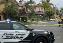California Plane Crash News