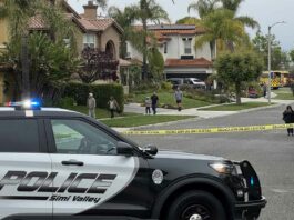 California Plane Crash News
