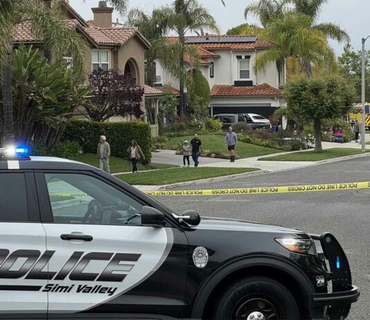 California Plane Crash News