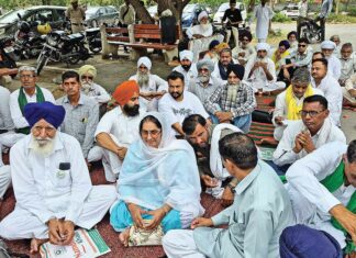 Sirsa News