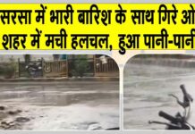 Sirsa Rains