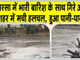 Sirsa Rains