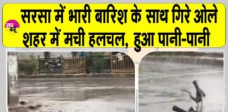 Sirsa Rains
