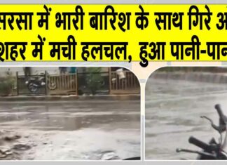 Sirsa Rains