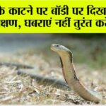 Snake News