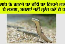 Snake News