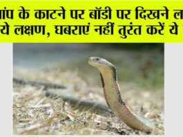 Snake News