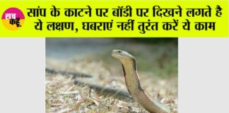 Snake News
