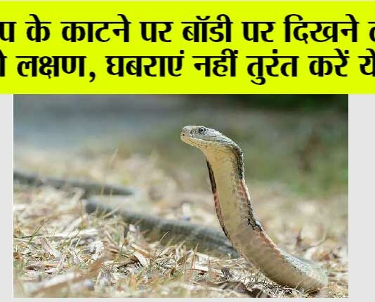 Snake News