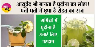 Summer Drink
