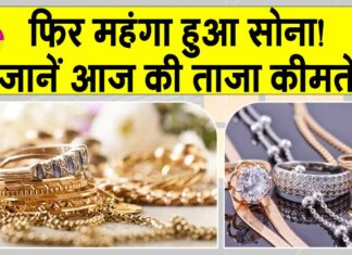 Gold-Silver Price Today