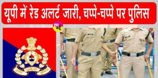 UP News