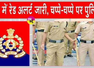 UP News