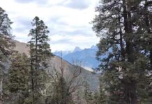 Uttarakhand Weather