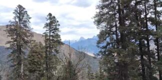 Uttarakhand Weather
