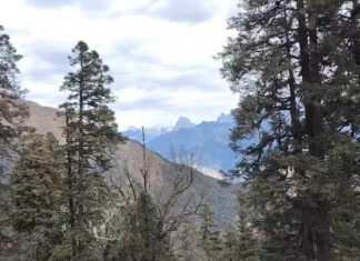 Uttarakhand Weather