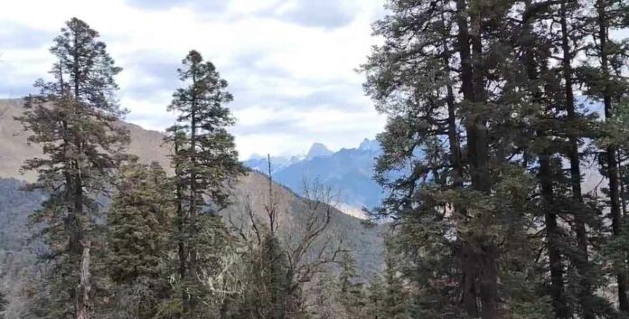 Uttarakhand Weather