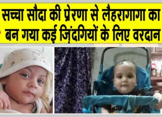 Punjab News