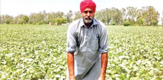Bathinda News