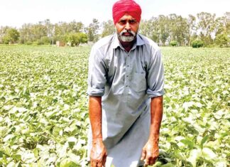 Bathinda News