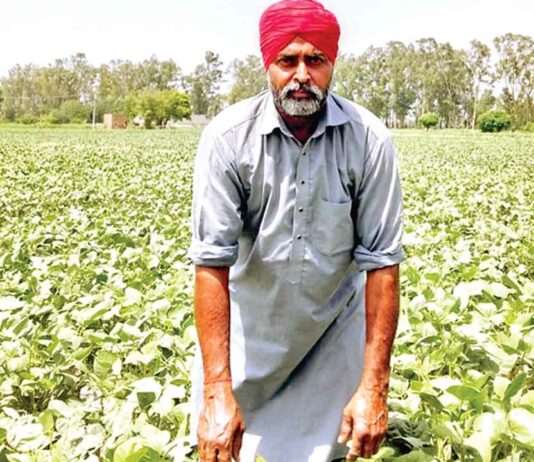 Bathinda News