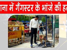 Bawana Murder News