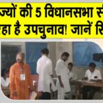 Assembly By-elections