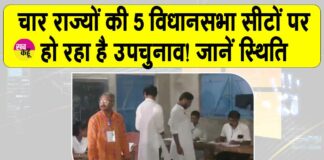 Assembly By-elections