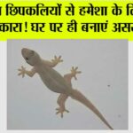 Chipkali Bhagane ke Upay