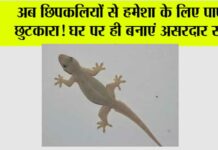 Chipkali Bhagane ke Upay